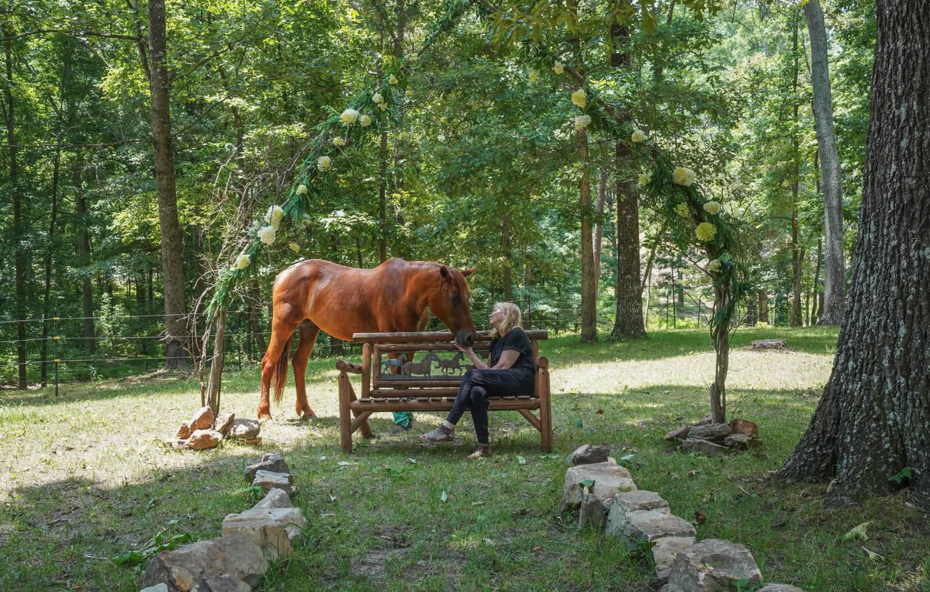 A horse standing beside a woman on a bench under a floral arch